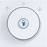 Central blind switch key ref. 0-position A.x/C.x white glass