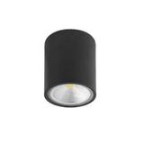 CEILING FIXTURE ORION 1xLED PX-0296-NEG FORLIGHT