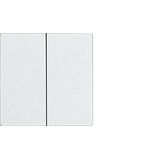 Bluetooth pushbutton, pure white glossy