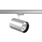 DEECOS S maxi, 33 W, 1750 lm, fresh meat, silver, DALI Surface mounted