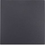 Rocker with fixing element IP44 S.1 anthracite matt