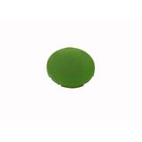 M22-XD-G Button plate, flat green, blank