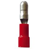Fichero: Ter ench red rojo.jpg