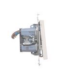 Double IT socket RJ45, category 5e, (module), Simon 24, IP20/IP44, champagne matt