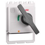 Rotary Handle complete, lockable for MX3 for electr. release