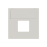 N2216.1 DN - Cover for 2Mod Data Socket.