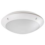 LENTIL LED 8555