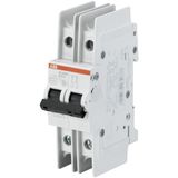SU202M-Z6 Miniature Circuit Breaker - 2P - Z - 6 A