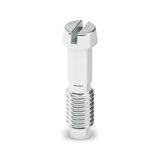 SCM3-4 CUSN 3.8 / 13 L - Screw