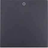 Rocker with imprint 0 and fixing element IP44 S.1 anthracite matt