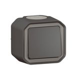 Plexo 10A waterproof single push button delivered complete for anthracite surface mounting