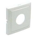 COVER PLATE F/MOTION DETECTORS ICE