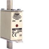 NH fuse NH000 gG 690V 25A with twin indicator and live gripping lug