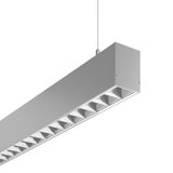 LESS IS MORE 50, 41 W, 5050 lm, 830, silver, DALI Pendant luminaires, 