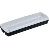 LiFeSafe PRO BH IP65 C EM3 NM/MT DA BLK