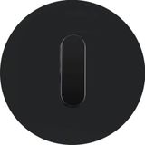 Cover plate toggle f. rot. switch/spring-return push-button, R.classic, bl.gl.
