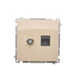 Aerial socket type "F" + computer socket RJ45 cat.6, beige
