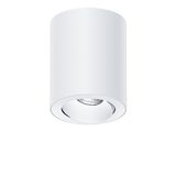 MICROS2 SC100 1700-940 SWI WFL-DWH WH WH - LED ceiling-recessed luminaire