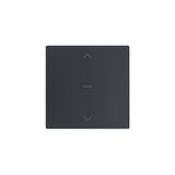 Single button for roller blind switch and pushbutton, (rocker), Simon 24, IP20, graphite mat