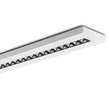 FLEXILED 5SM37A/M840WH9016LM1500/150DALI