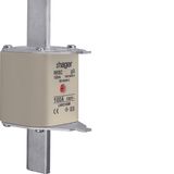 NH fuse NH3C gG 500V 100A central indic.