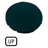 M22-XD-S-GB3 Button plate, flat black, UP