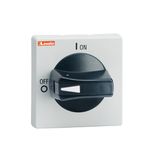 Door-coupling handle, padlockable. Black, rotating, for GA...A, GA063SA and GA...D. Low-profile ring fixing. Protruding selector. 5mm/0.2”. IEC IP65/UL type 4X