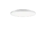 FL R+ 333 SM 8/23 S/B 8TW WH9016 DT8 OP