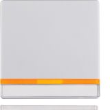 Rocker, lab. field, lens, Q.1/Q.3, p. white velvety