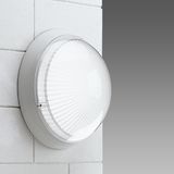 GLOBO 1544 MAX 105 CLD S GREY