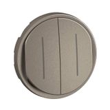 DOUBLE SWITCH INDICATOR CELIANE TITANIUM