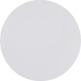 Button 1gang, R.1/R.3/1930/R.cl., p. white glossy