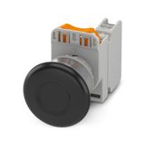 PHT22-MBR-BK/PT10 - Button
