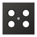 Centre plate AL2990-4SAT1AN