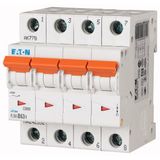 Miniature circuit breaker (MCB), 80A, 4 p, OV