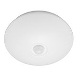 Fichero: KLD1-PLUS-250.jpg