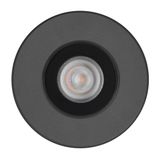 CRICKET+ 10 C/M 6.5 RGBW ANTHRACITE DMX
