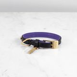 DOG COLLAR / CROSS / X-SMALL / BLACK / PURPLE / BRASS