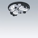 THORN CEILING ROSE BK WH - Installation accessory