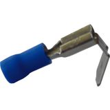 Fichero: Ter ench mixt azul.jpg