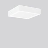 TOLEDO FLAT+ square, 17 W, 2150 lm, 830, 840, white, on/off Surface mo