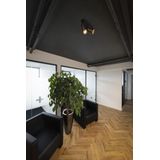 GRIP! L, SPOT CL, double QPAR51 Ceiling Luminaire, cyl, 6W