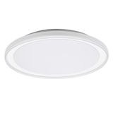 ORBIS PEDERSON 450MM 24W 830 WT OSRAM