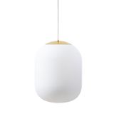 LED-5L08D09ZS11/298/L100 MS 3000