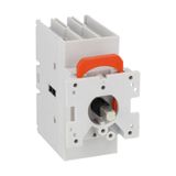 Three-pole switch disconnector, door-mount version, 16A
