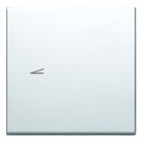 BUTTON 2M PW NT 11 6231383
