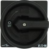 Main switch, P1, 40 A, rear mounting, 3 pole, STOP function, With black rotary handle and locking ring, Lockable in the 0 (Off) position, With metal s