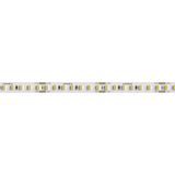 STRIP LED: 11,5W/M-24V-5M-2.7K 10MM C90