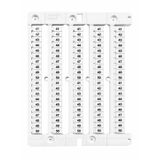 Marking plate with stripes 10 pcs. "41-50"