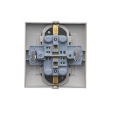 Single contact push button without pictogram, (module), 10AX, quick connection, Bronze matt, metalic